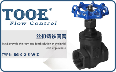 �z���T�F�l�y