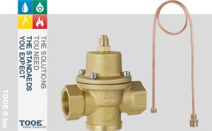 �ݼy����ʽ��������y