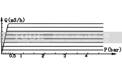 ����ʽ���������y��������