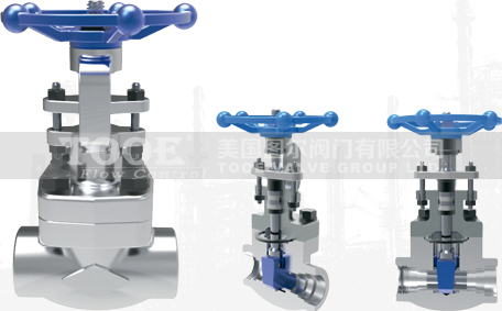 進口閘閥 進口閘閥