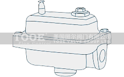 �����T�F�Ś��y�ߴ�D