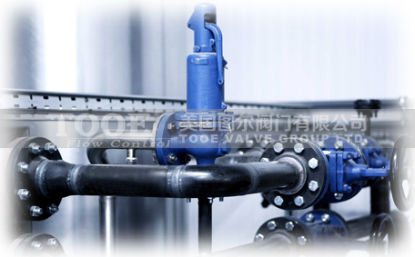 進口安全閥 進口安全閥