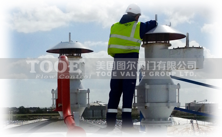 進(jìn)口呼吸閥 進(jìn)口呼吸閥