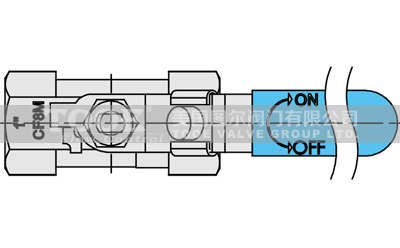 一片式不銹鋼球閥結構 一片式不銹鋼球閥結構