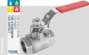 �M�ڃ�Ƭʽ���P����y