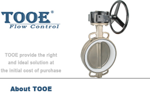 不銹鋼蝸輪對夾蝶閥 不銹鋼蝸輪對夾蝶閥