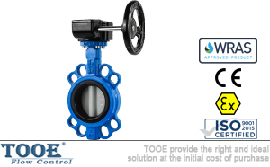 進口軟密封蝸輪對夾蝶閥 進口軟密封蝸輪對夾蝶閥