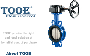 蝸輪對夾蝶閥 蝸輪對夾蝶閥