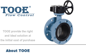 軟密封蝸輪法蘭蝶閥 軟密封蝸輪法蘭蝶閥