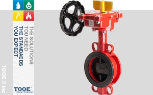 �M��������̖���y