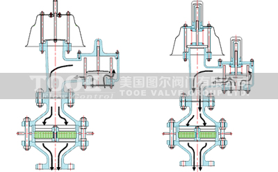 ����������й���y����ԭ��