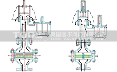 ȫ�������������y����ԭ��