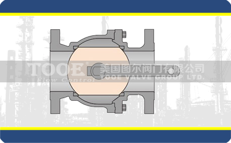 �M(j��n)����Ȼ�����y