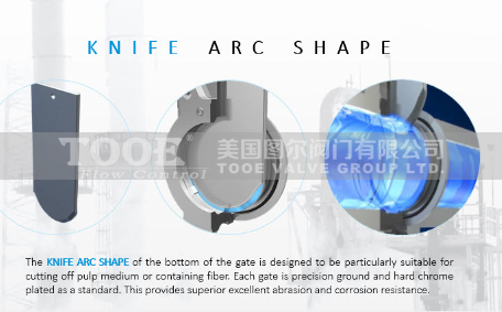 �M(j��n)�ڵ����l�y