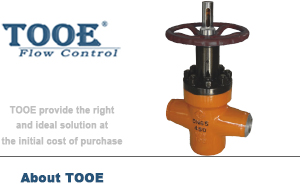 ����߉�ƽ���l�y