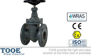 ���m�T�F�l�y