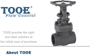 �ݼy���l�y