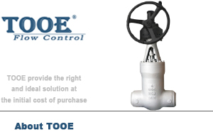 �ߜظ߉������վ�l�y