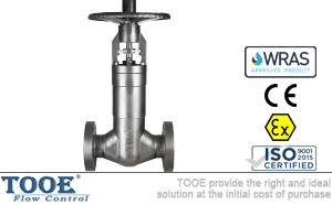 進(jìn)口波紋管閘閥 進(jìn)口波紋管閘閥