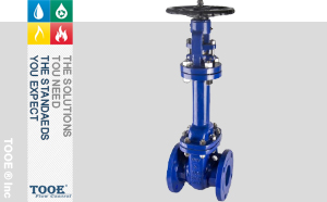 進(jìn)口波紋管密封閘閥 進(jìn)口波紋管密封閘閥