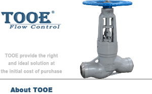 �ߜظ߉������վ��ֹ�y