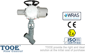 늄Ӹߜظ߉����ӽ�ֹ�y