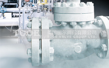 �M�ڳ��͜�ֹ���y