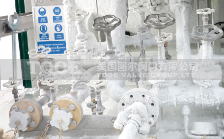 �M�ڵ͜�ֹ���y