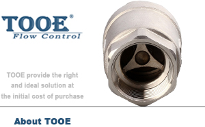 不銹鋼立式絲扣止回閥 不銹鋼立式絲扣止回閥