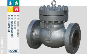 進口美標旋啟式止回閥 進口美標旋啟式止回閥