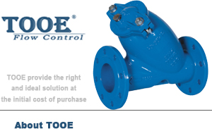 �T�F���m�ܵ�Y���^�V��