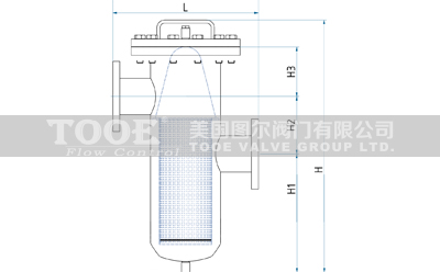 高低籃式管道過(guò)濾器結(jié)構(gòu)尺寸CAD圖紙 高低籃式管道過(guò)濾器結(jié)構(gòu)尺寸CAD圖紙