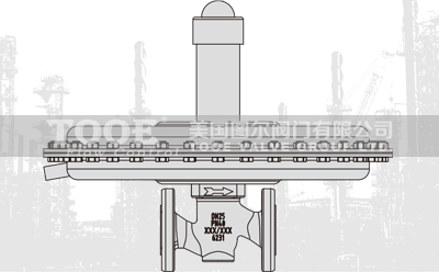 自力式微差壓調節(jié)閥性能特點 自力式微差壓調節(jié)閥性能特點