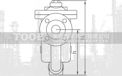 倒置桶式蒸汽疏水閥結(jié)構(gòu)尺寸CAD圖紙 倒置桶式蒸汽疏水閥結(jié)構(gòu)尺寸CAD圖紙