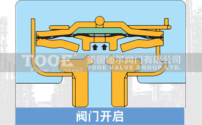 膜盒式蒸汽疏水閥工作原理 膜盒式蒸汽疏水閥工作原理