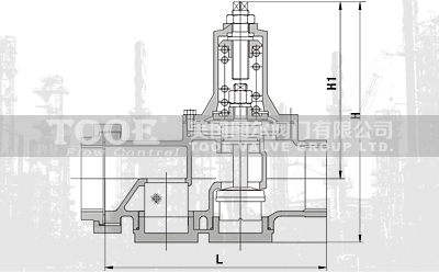 ���ɱ�Ĥ���{(di��o)ʽ�p���y�Y(ji��)��(g��u)�ߴ�CAD�D��