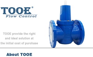 ֱ������ʽ�p���y