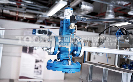 �M(j��n)�������p���y