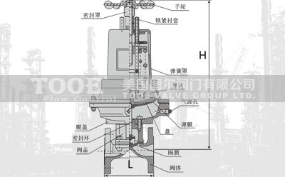 ���]��Ӹ�Ĥ�y���g����(sh��)