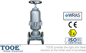 ���˳��]��Ӹ�Ĥ�y