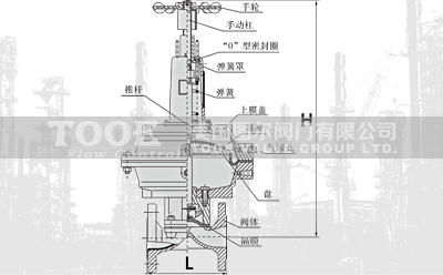 ���_��Ӹ�Ĥ�y���g����