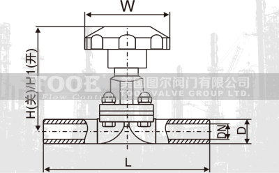 ���Ӹ���ո�Ĥ�y