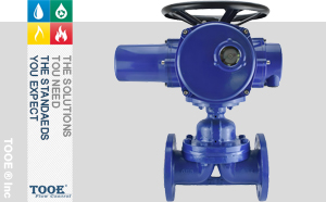 늄��r�z��Ĥ�y