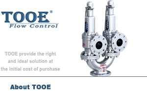 雙聯(lián)式彈簧泄壓安全閥 雙聯(lián)式彈簧泄壓安全閥